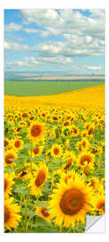 Door sticker Sunflower Field