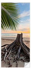 Door sticker Palm Root on the Beach