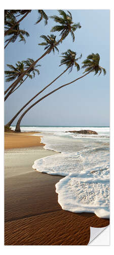 Dørtapet Palm Trees and Waves