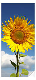 Deursticker Radiant Sunflower