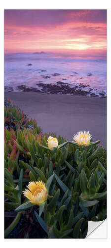 Door sticker Blooming Succulents on the Beach