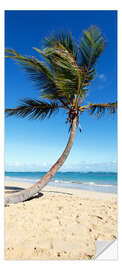 Ovitapetti Palm Tree, Sand and Sea