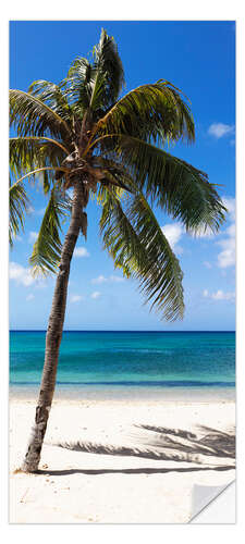 Ovitapetti Palm Tree on Sky Blue