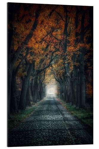 Gallery print Autumn Avenue