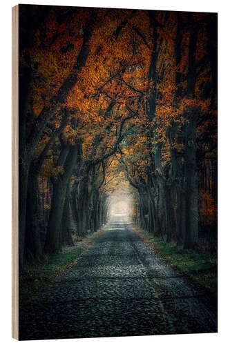 Hout print Autumn Avenue