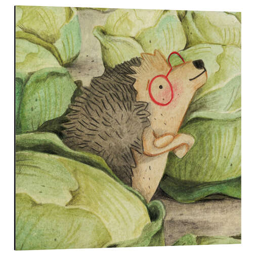 Stampa su alluminio Hedgehog in the Cabbage Field