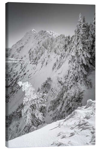 Leinwandbild Verschneiter Winterwald am Tegelberg im Allgäu