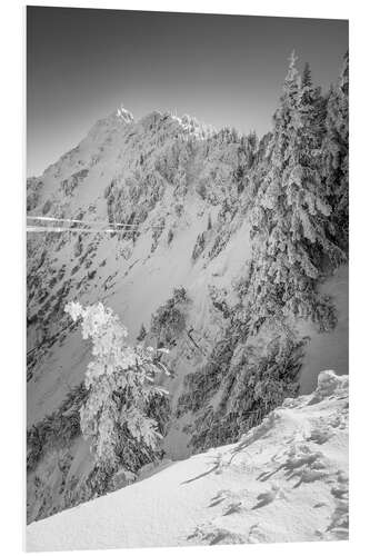 Foam board print Snowy Winter Forest on the Tegelberg in Allgäu