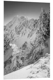 Foam board print Snowy Winter Forest on the Tegelberg in Allgäu