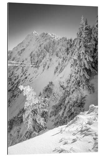 Galleriprint Snowy Winter Forest on the Tegelberg in Allgäu