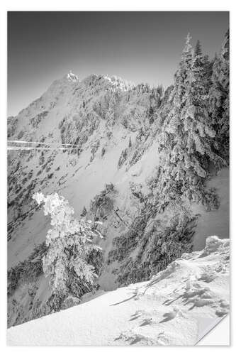 Vinilo para la pared Snowy Winter Forest on the Tegelberg in Allgäu