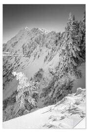 Wandsticker Verschneiter Winterwald am Tegelberg im Allgäu