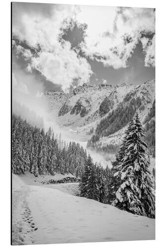 Tableau en aluminium Winter Trail in the Ahrntal Valley in South Tyrol