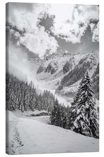 Leinwandbild Winterlicher Wanderweg im Ahrntal in Südtirol