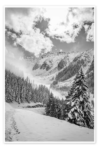 Poster Winter Trail in the Ahrntal Valley in South Tyrol