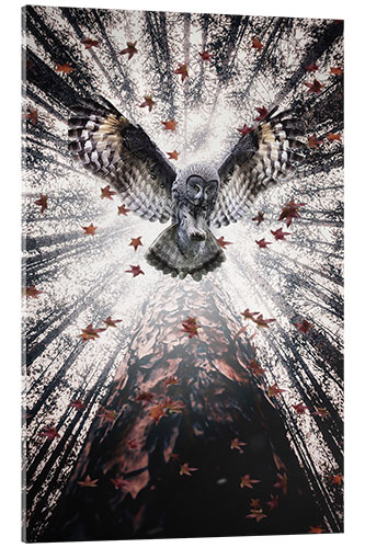 Akrylbilde Majestic Owl in Autumnal Forest