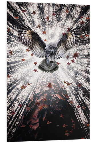 Tableau en PVC Majestic Owl in Autumnal Forest
