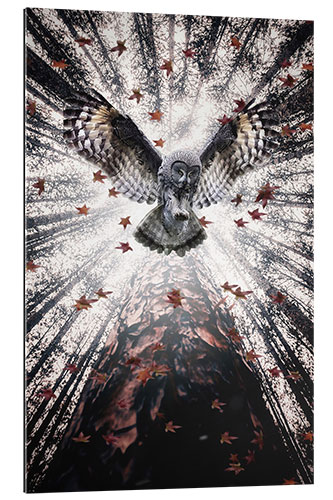Tableau en plexi-alu Majestic Owl in Autumnal Forest