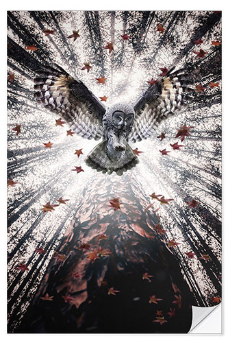 Selvklæbende plakat Majestic Owl in Autumnal Forest