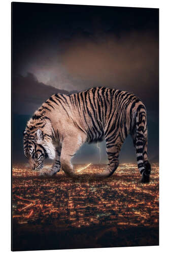 Aluminium print Giant Tiger Over The City