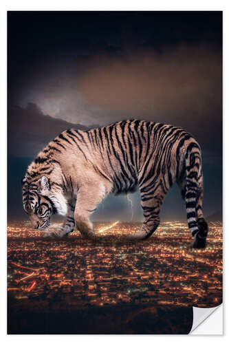 Selvklebende plakat Giant Tiger Over The City