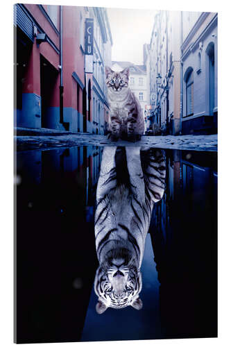 Akrylbilde Cat With Tiger Reflection in Water