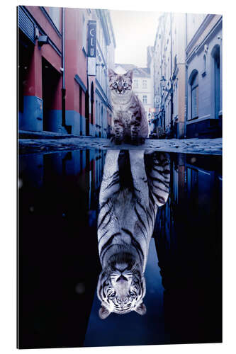 Tableau en plexi-alu Cat With Tiger Reflection in Water