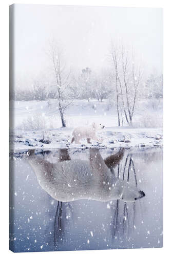 Tableau sur toile Polar Bear in a Reflection of Water