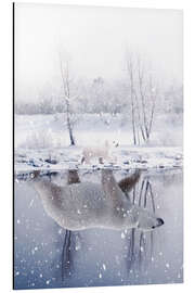 Magnettafel Eisbär in einer Wasserspiegelung