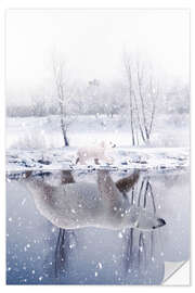 Selvklebende plakat Polar Bear in a Reflection of Water