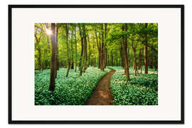 Gerahmter Kunstdruck Wald mit Bärlauch