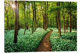 Gallery print Forest With Wild Garlic