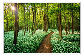 Poster Forest With Wild Garlic