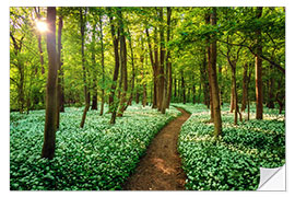 Vinilo para la pared Forest With Wild Garlic