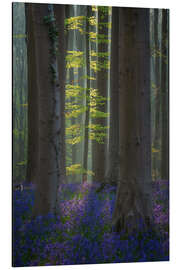 Magnettafel Wald mit blühenden Glockenblumen