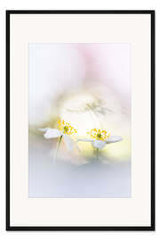 Gerahmter Kunstdruck Gemütlich zusammen in der Sonne