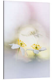 Magnettafel Gemütlich zusammen in der Sonne