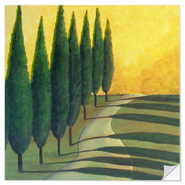 Selvklebende plakat Cypress Trees of Tuscany