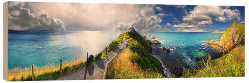 Holzbild Nugget Point, Neuseeland