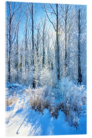 Akryylilasitaulu Frosty Winter Forest