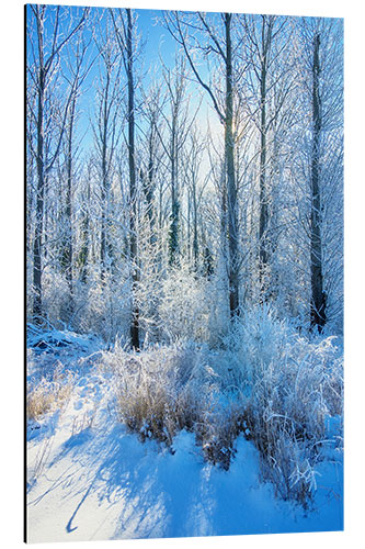 Tableau en aluminium Frosty Winter Forest