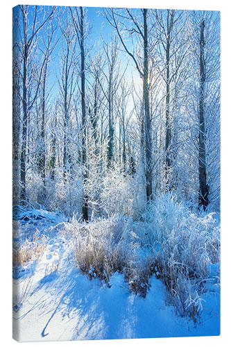 Leinwandbild Frostiger Winterwald