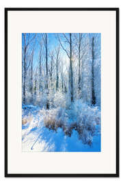 Gerahmter Kunstdruck Frostiger Winterwald