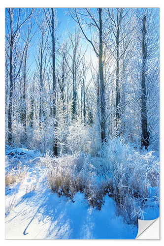 Wandsticker Frostiger Winterwald