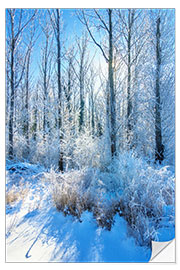 Självhäftande poster Frosty Winter Forest