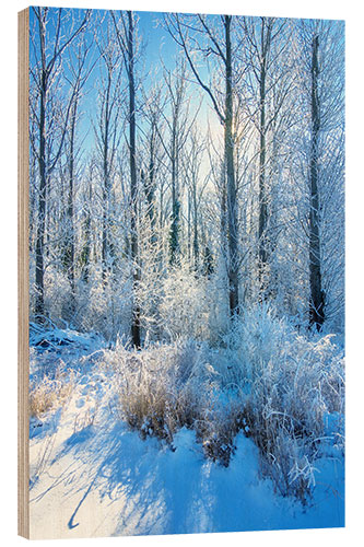 Holzbild Frostiger Winterwald