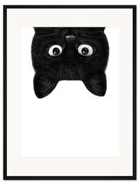 Gerahmter Kunstdruck Schwarze Katze III