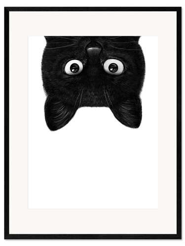 Framed art print Black Cat III