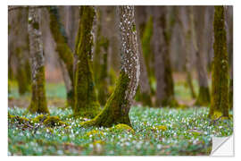 Vinilo para la pared Spring Forest With Marigold