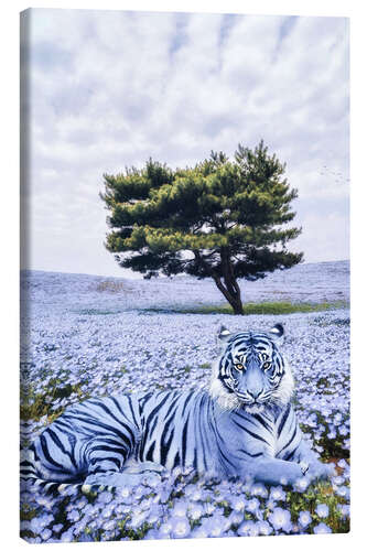 Leinwandbild Lila Tiger